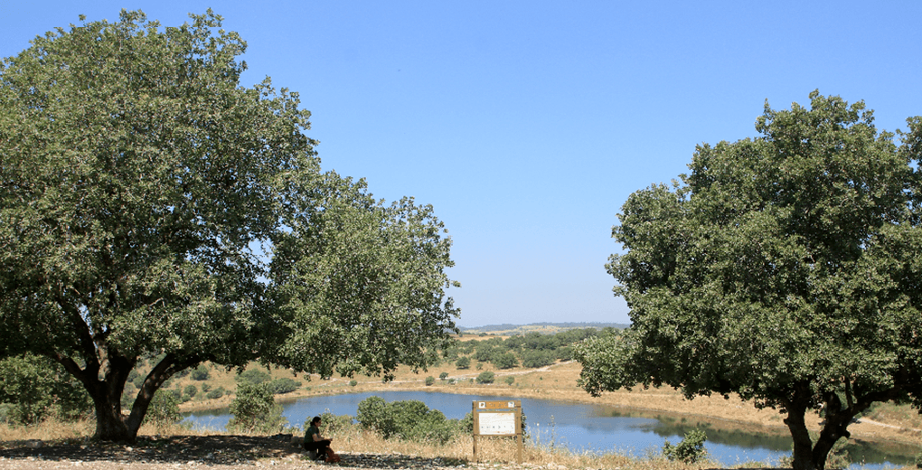 נקודת התצפית על מאגר רז. צילום: יעקב שקולניק, ארכיון הצילומים של קקל