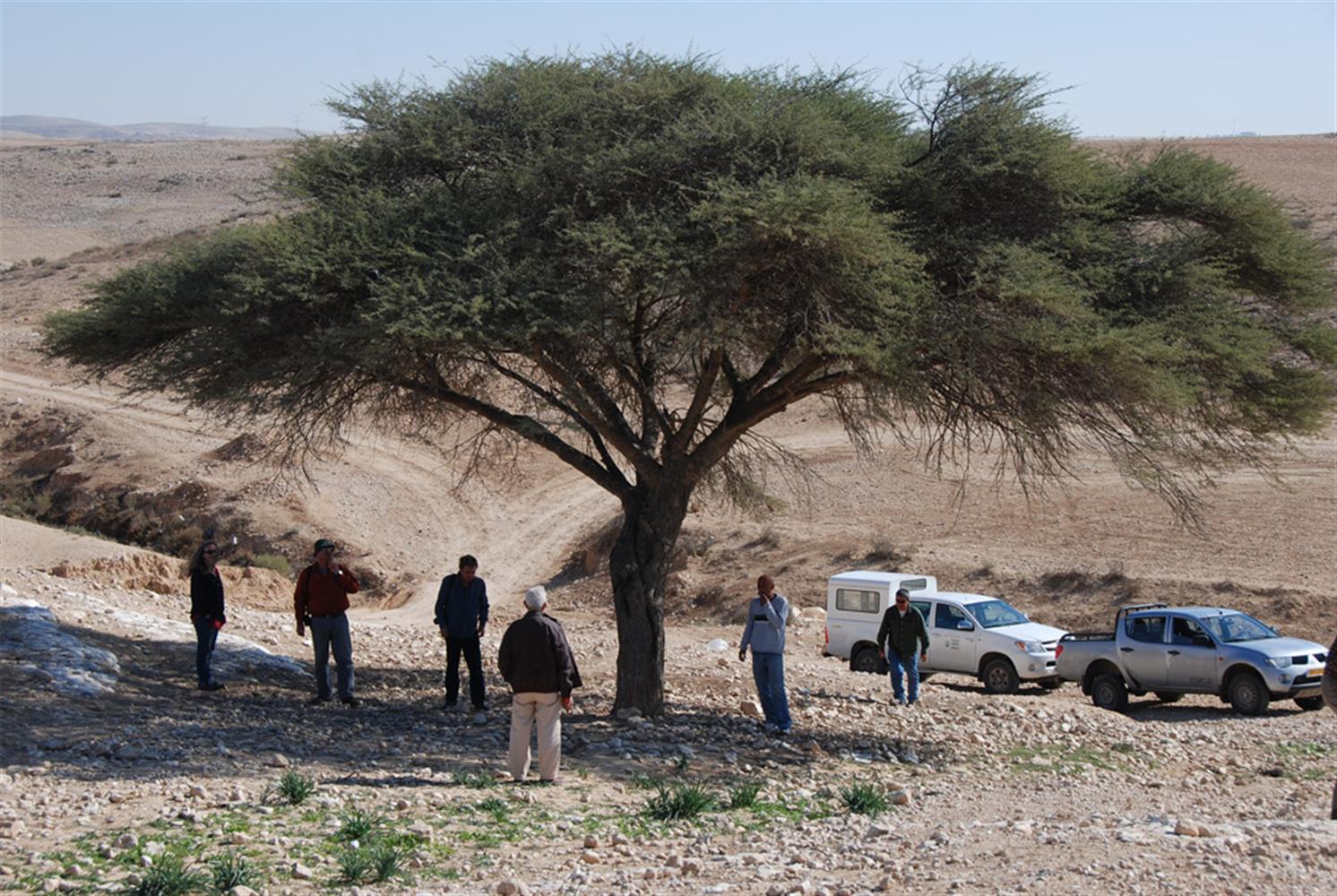 צילום: סימה קגן