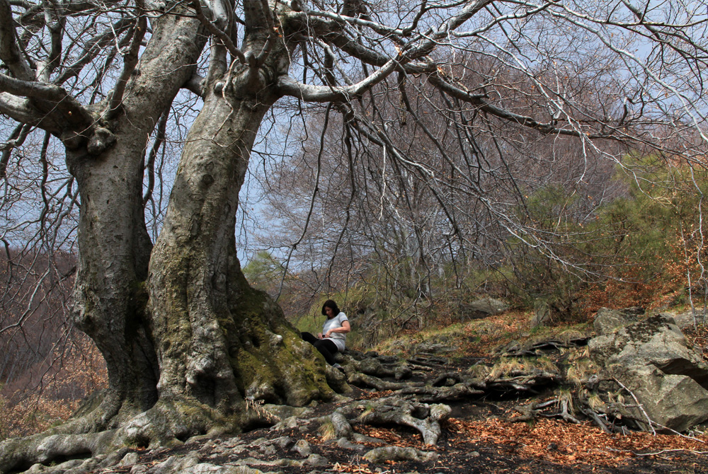 צילום: יעקב שקולניק