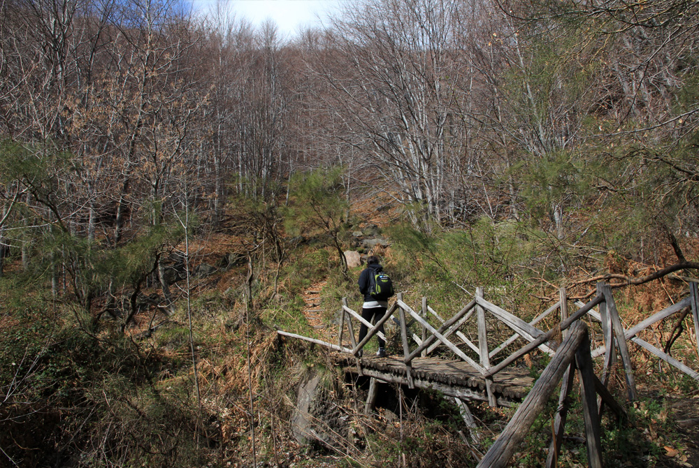 צילומים: יעקב שקולניק