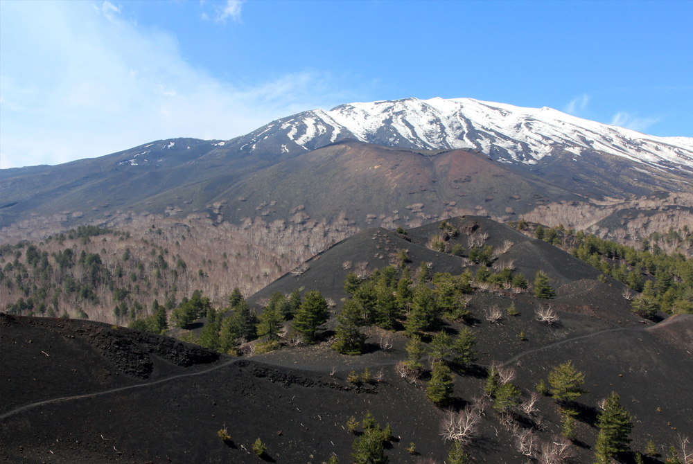 צילום: יעקב שקולניק