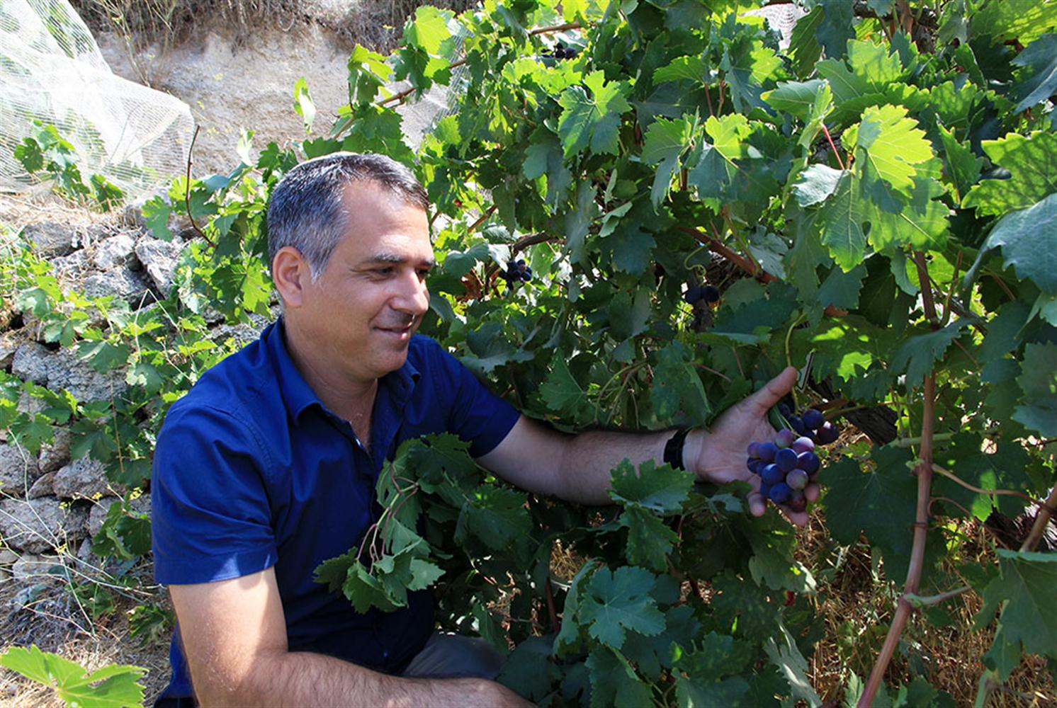 צילום: יעקב שקולניק