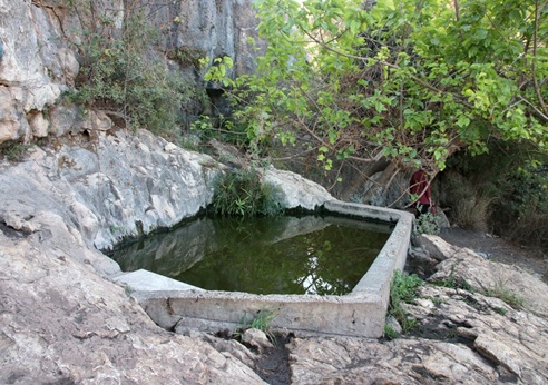הבריכה בעינות בוקר. צילום: יעקב שקולניק, ארכיון הצילומים של קק"ל