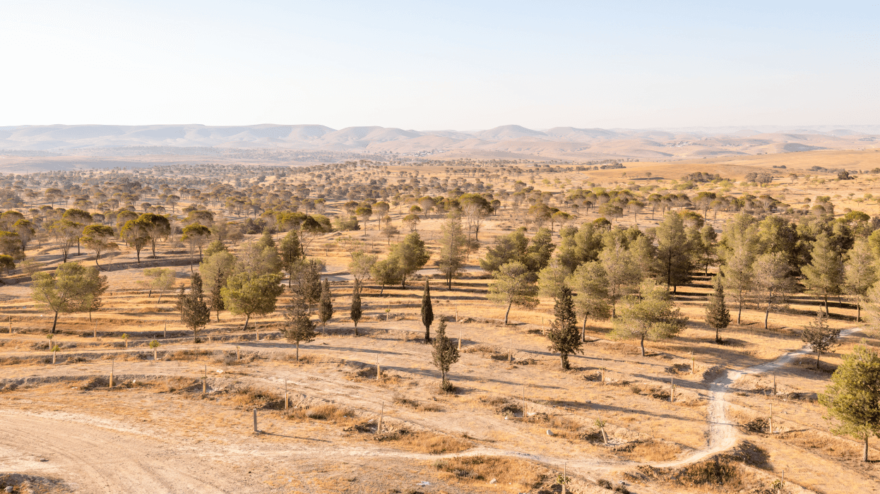 צילום: אורנית גינת, קקל