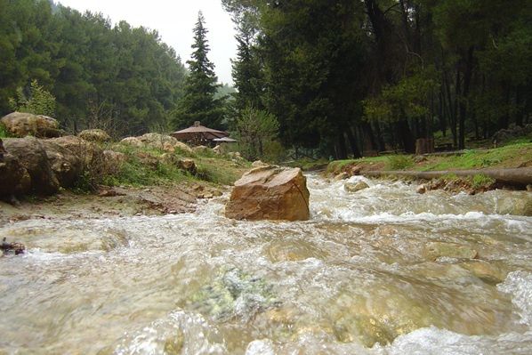 חניון שפר. צילום: מיכאל חורי, ארכיון הצילומים של קק״ל