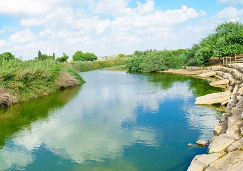 חוגגים שבועות ביערות: טיולים לכל המשפחה