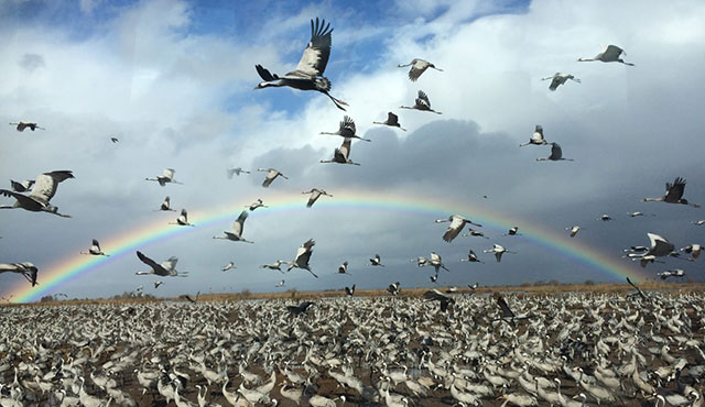 צילום: דרור ארצי, ארכיון הצילומים של קק
