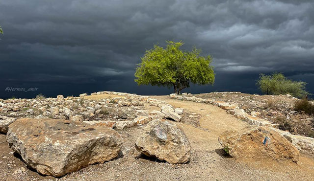 צילום: אמיר הרמס, ארכיון הצילומים של קק