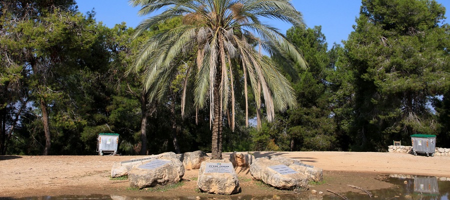 האנדרטה לזכרו של משה שרת. צילום: יעקב שקולניק, ארכיון הצילומים של קק"ל