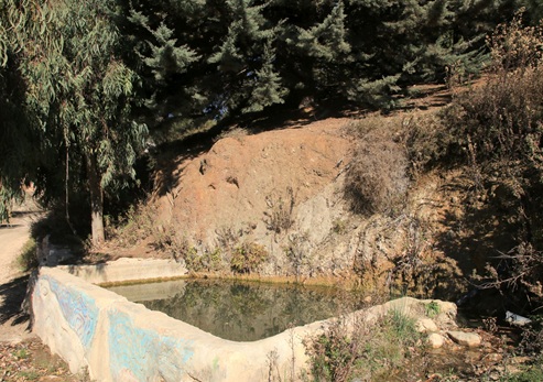 עין קעקאן. צילום: יעקב שקולניק, ארכיון הצילומים של קק''ל