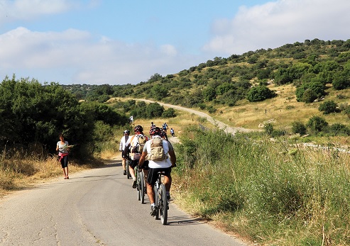 רוכבי אופניים בפארק