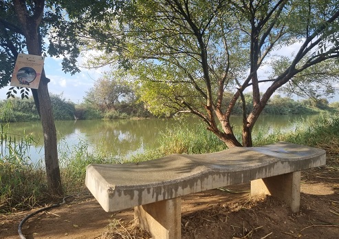 אגמון חפר, נחל אלכסנדר. צילום: טליה בקר, קקל