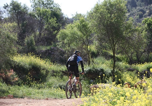 אופניים בעמינדב