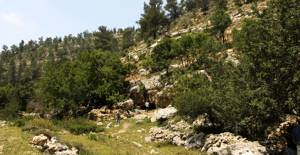צילום: יעקב שקולניק, ארכיון הצילומים של קקל
