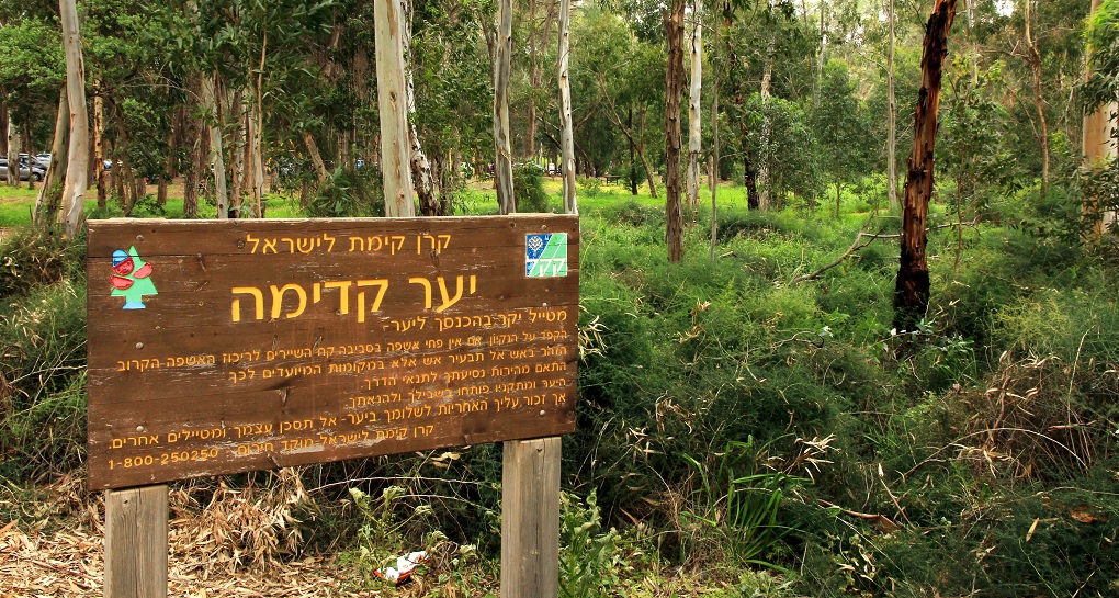 יער קדימה – שלט כניסה. צילום: יעקב שקולניק, ארכיון הצילומים של קקל