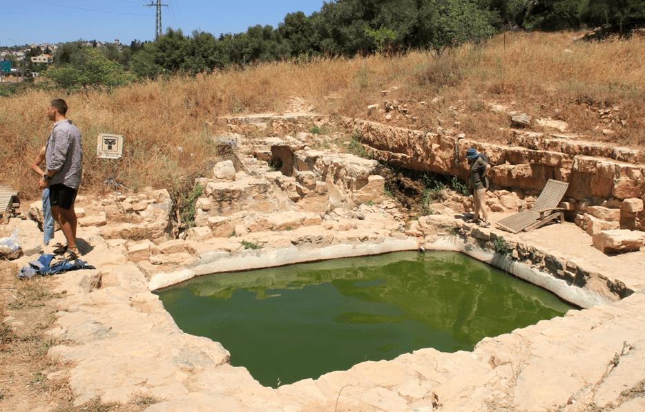 עין המסייעת. צילום: יעקב שקולניק, ארכיון הצילומים של קקל