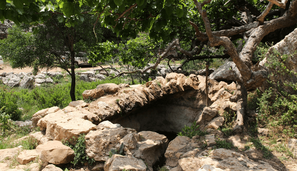 בית המעיין בעין נקופה. צילום: יעקב שקולניק, ארכיון הצילומים של קקל
