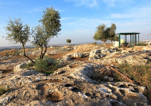 פסגת גבעת הספלולים. צילום: יעקב שקולניק, ארכיון הצילומים של קק"ל