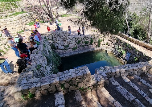 שביל הבעל, עין סטף. צילום: עדי טנא נתן, קק"ל