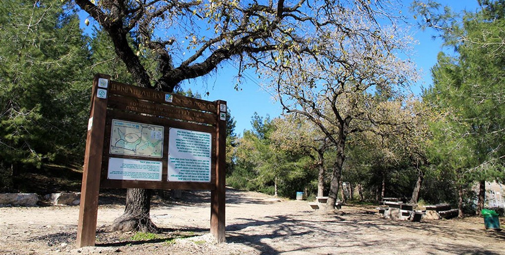 חניון חורשת השומרים ביער לנדוי. צילום: יעקב שקולניק,