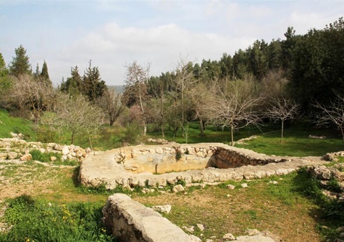 בריכה לאיסוף מי המעיין מעין קובי. צילום: יעקב שקולניק, ארכיון הצילומים של קק''ל