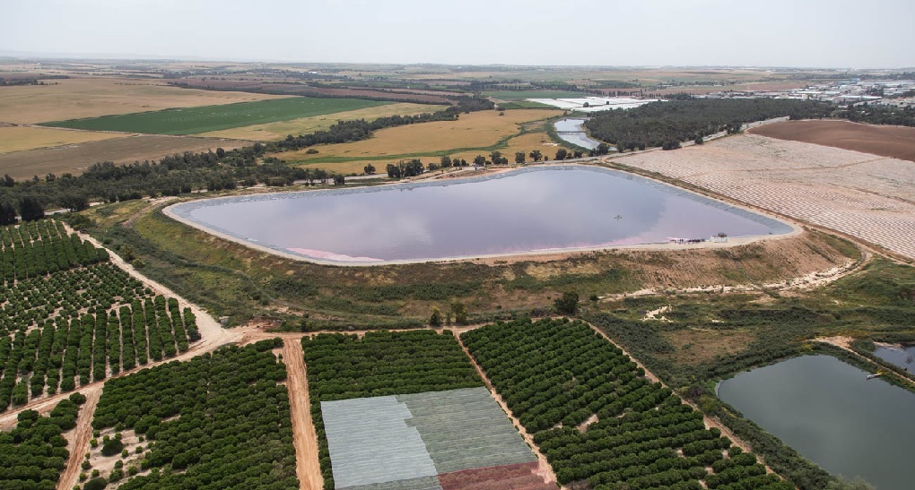 צילום: אלבטרוס, ארכיון הצילומים של קקל