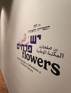 מהמסך אל המוזיאון: כשהעולם הדיגיטלי פוגש את המורשת הבוטנית