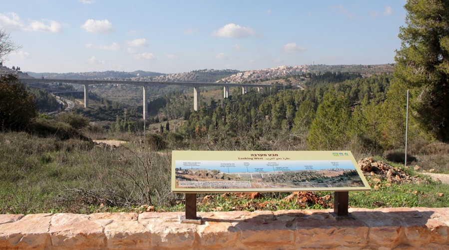 תצפית עמק הצבאים למרלגות מצפה נפתוח. צילום: יעקב שקולניק, קק"ל