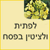 לציטין ולפתית בפסח