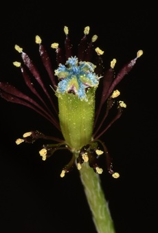 צילום: אורי פרגמן ספיר