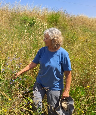 צילום: © יואל חסין