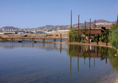 פארק הצפרות באילת שהיה בעבר מזבלה עירונית.  צילום: יעקב שקולניק, ארכיון הצילומים של קקל