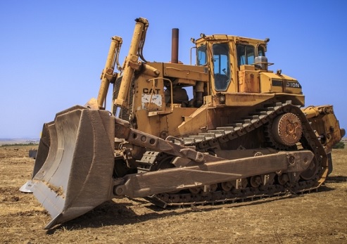 צילום: Shutterstock