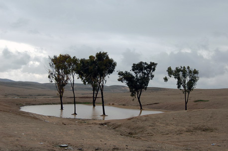 לימן בנגב. צילום: נירה צדוק, ארכיון הצילומים של קקל