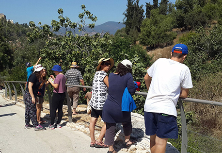 נאמני היער הקהילתי בסיור ביער כפר החורש.  צילום: אמנון גוטר, ארכיון הצילומים של קק"ל