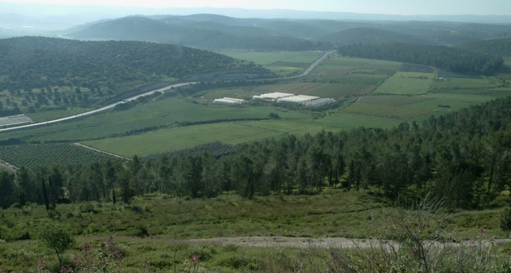 פארק בריטניה מראה כללי צילום אבי חיון