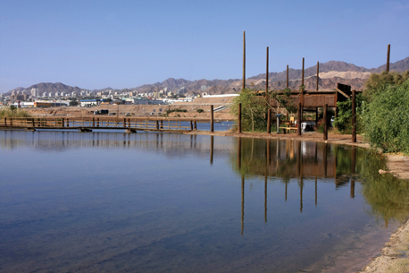 נוף פארק הצפרות. צילום: יעקב שקולניק