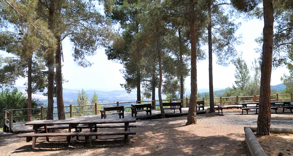 אשתאול- אבי_חיון