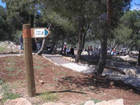 שביל התנ''ך ביערות הגלבוע. צילום: ארכיון הצילומים של קק''ל