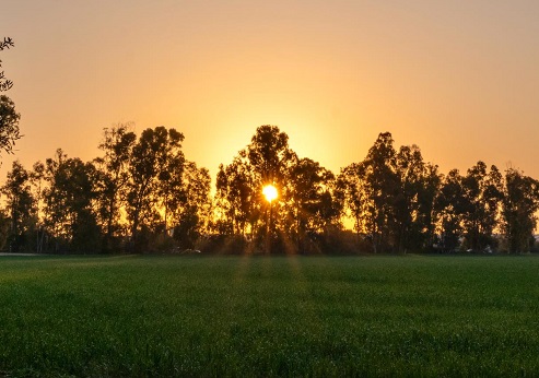 פארק שרשרת נחל גרר. צילום: בוני שיינמן, קקל