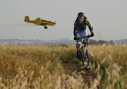 רוכב אופניים בפארק. צילום: אילן שחם, ארכיון הצילומים של קק"ל