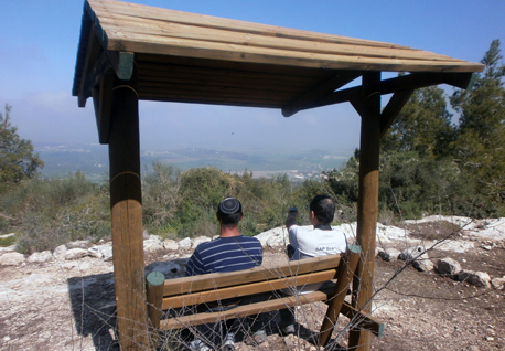 שביל שמשון ביער צרעה-הנשיא. צילום: מירה זר