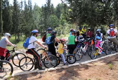 רוכבי אופניים ביער חרובית.  צילום: אבי חיון