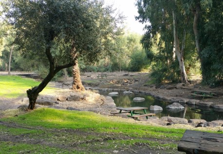 עין משפע. צילום באדיבות צוות הפארק