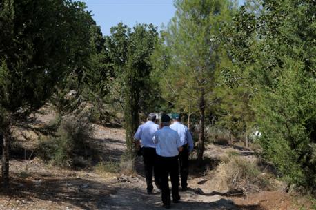 טיול ביער לנדוי. צילום: ארכיון צילומי קק''ל