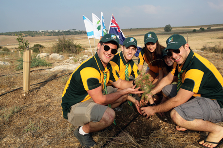 נטיעות ביער לח"י, גזר נחשון