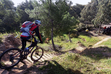 רוכב אופניים ביער שוקדה.  צילום: ארכיון הצילומים של קק''ל