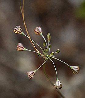 גבעת ההגנה, 9-2018. צילום: © שרה גולד