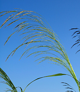 תל אביב, 3-2012. צילום: © דרור מלמד