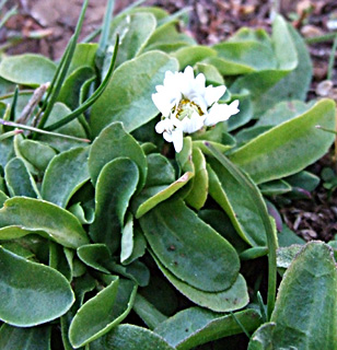 עמק מאן, נובמבר. צילום: © שרה גולד